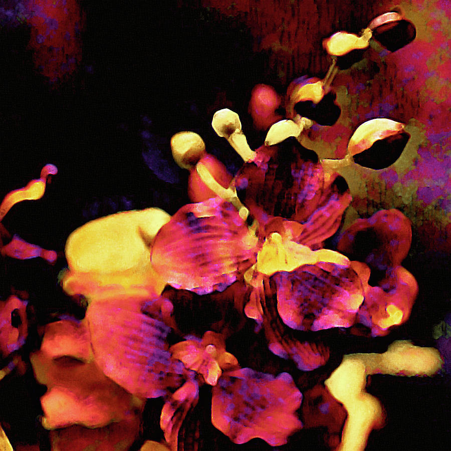 Flame Orchid Mixed Media by Susan Maxwell Schmidt