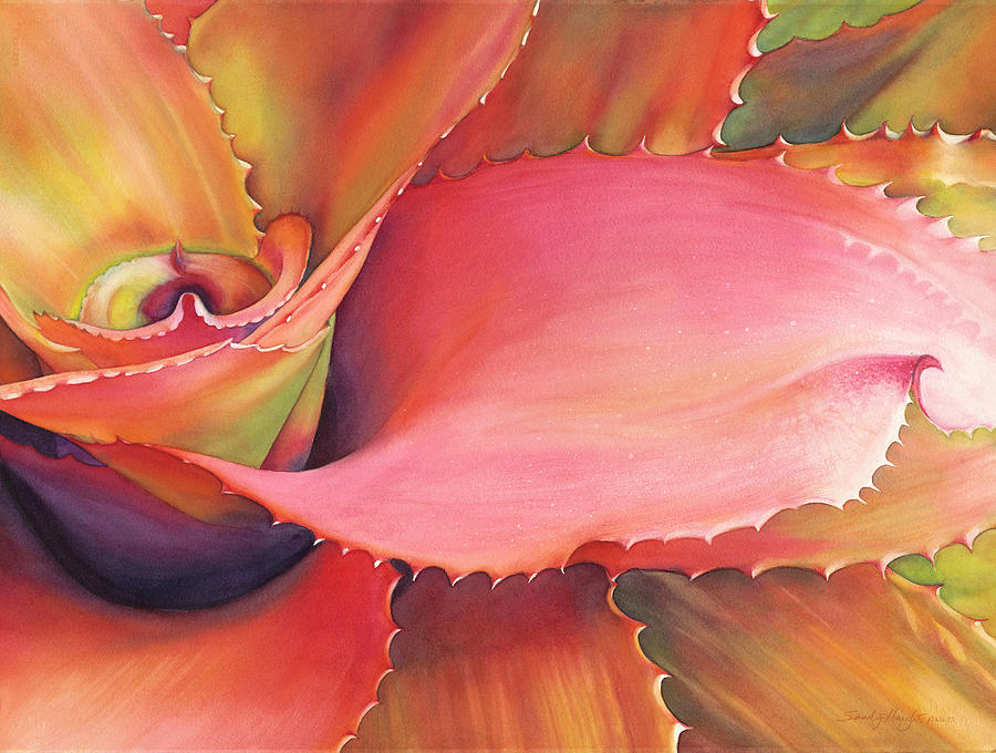 Succulent Painting - Flamenco Whorl by Sandy Haight