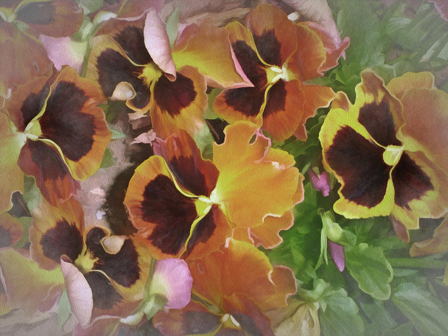 Flaming Pansies 9  Mixed Media by Lynda Lehmann