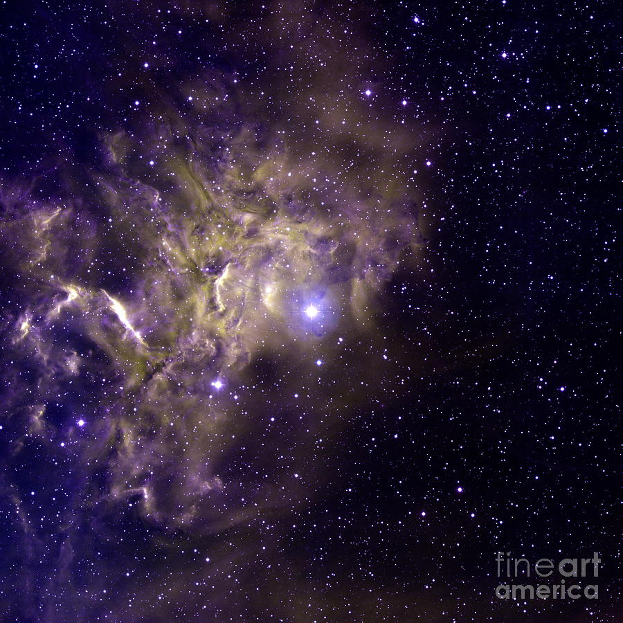 Flaming Star Nebula Photograph by National Optical Astronomy Observatories/science Photo Library