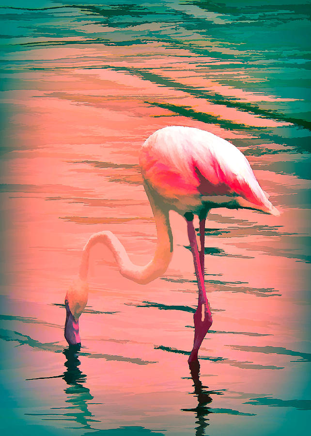 Flamingo Art by Rosalie Scanlon Flamingo Art by Rosalie Scanlon