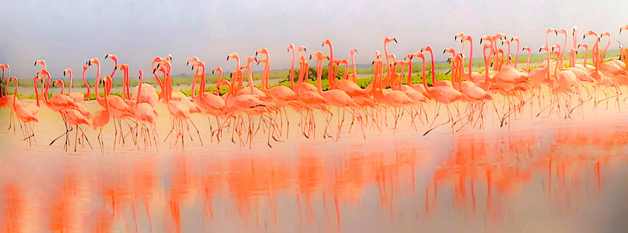 Flamingo Beach Painting by Carrie Armstrong