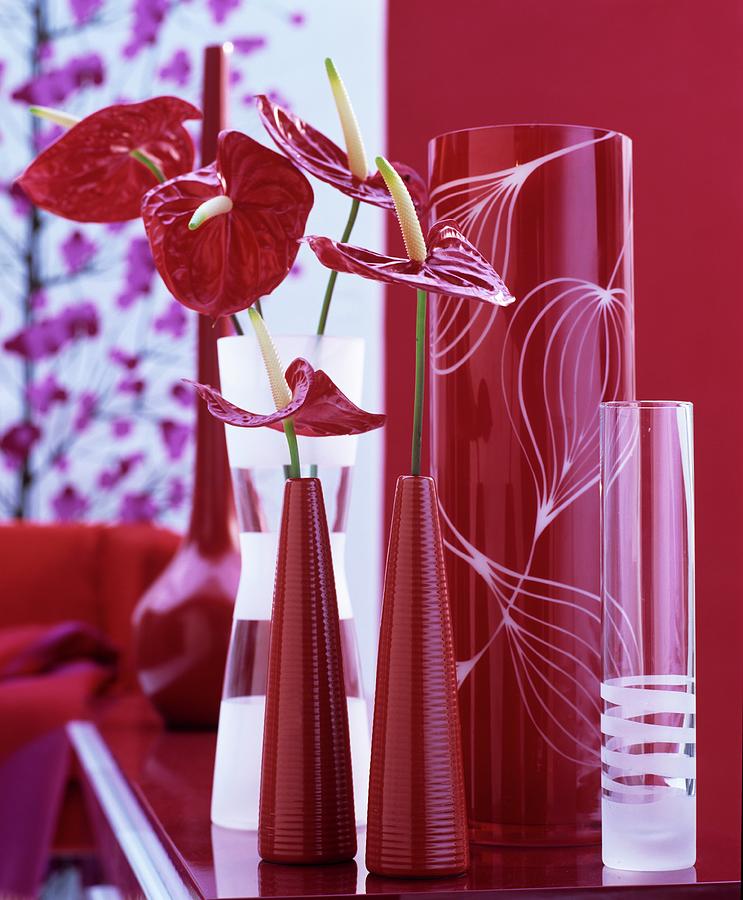 Flamingo Flowers In Red Vases And Etched Glass Vases Against Red Background Photograph by Matteo Manduzio