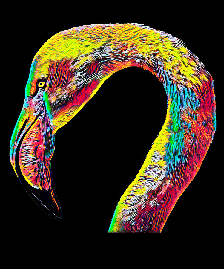 Bird Digital Art - Flamingo Head Neck Exotic Bird by Super Katillz