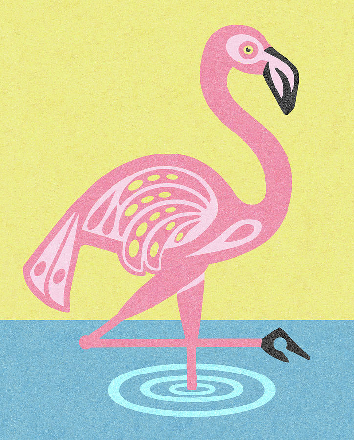 Flamingo Drawing - Flamingo in Water by CSA Images