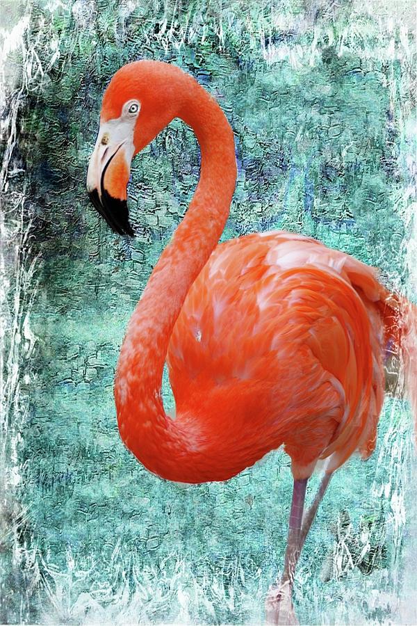 Flamingo Mosaic Photograph by Stoney Lawrentz