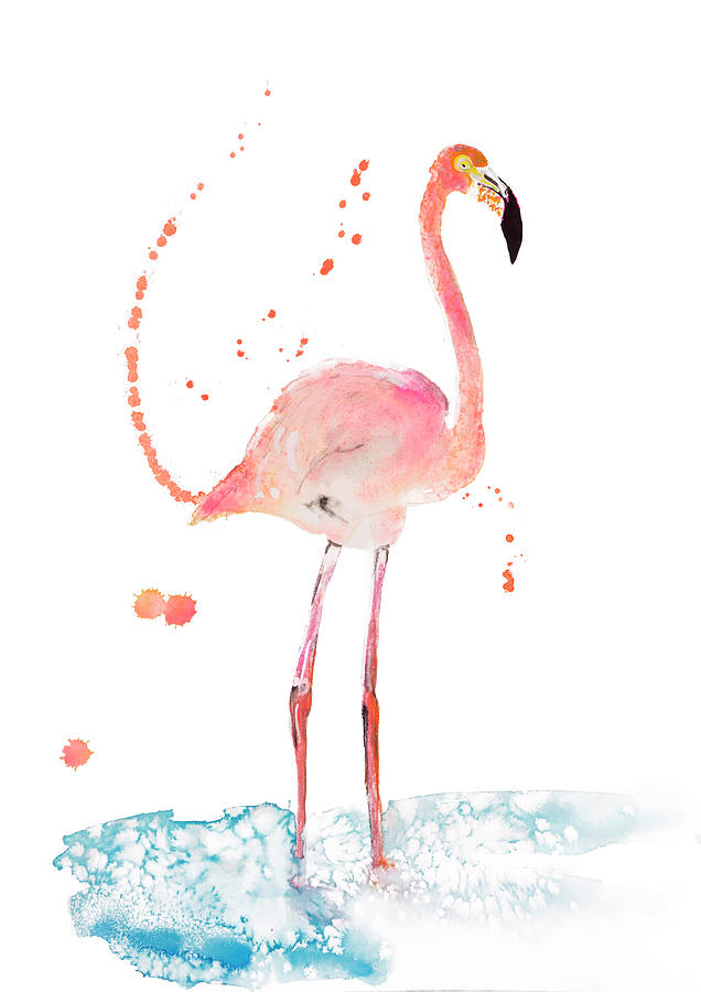 Nature Drawing - Flamingo special bird illustration by Angela Peters