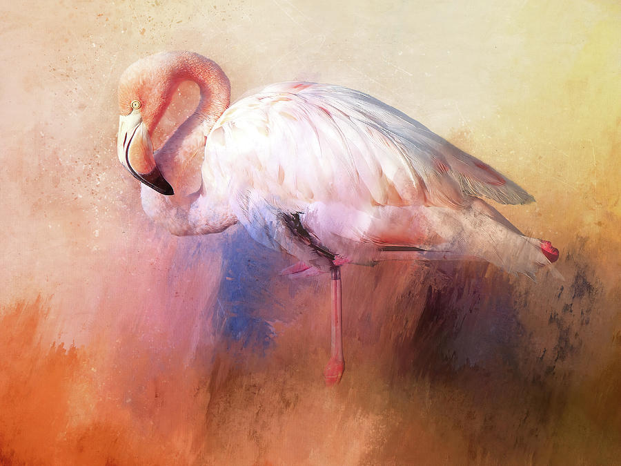 Flamingo Splash Digital Art by Terry Davis