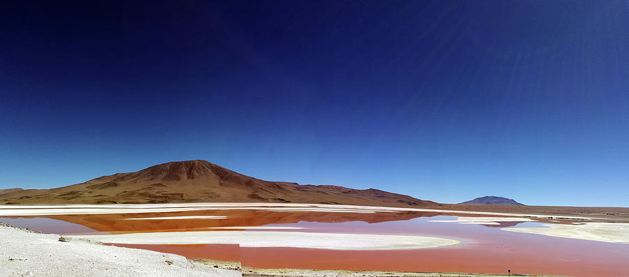 Flamingo Photograph - Flamingoes, Bolivian Desert, Bolivia by Anthony Asael