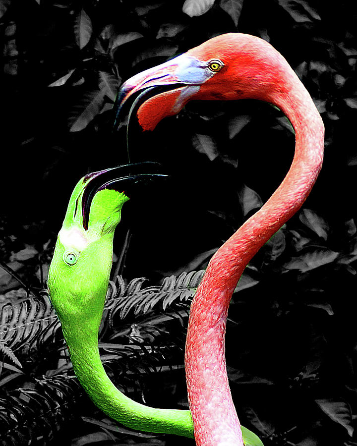 Nature Painting - Flamingos Pink & Green by Dana Brett Munach