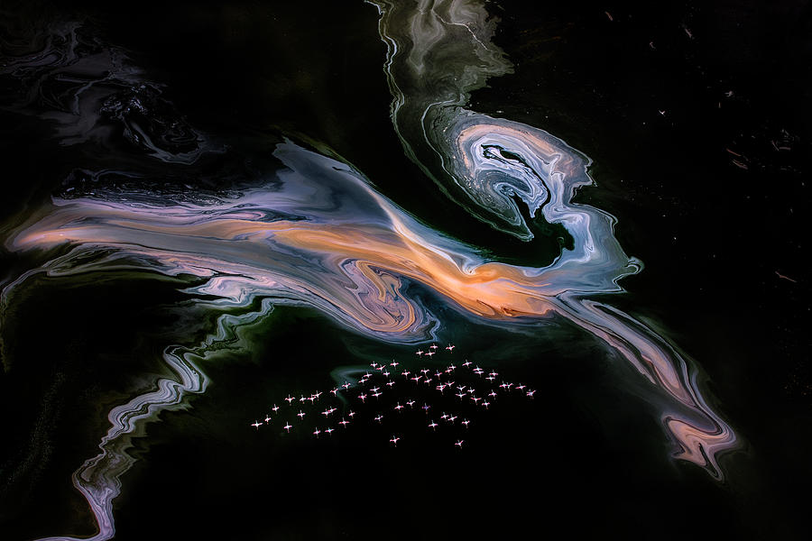 Flamings And A Mysterious Creature On The Lake Magadi Photograph by Siyu And Wei Photography
