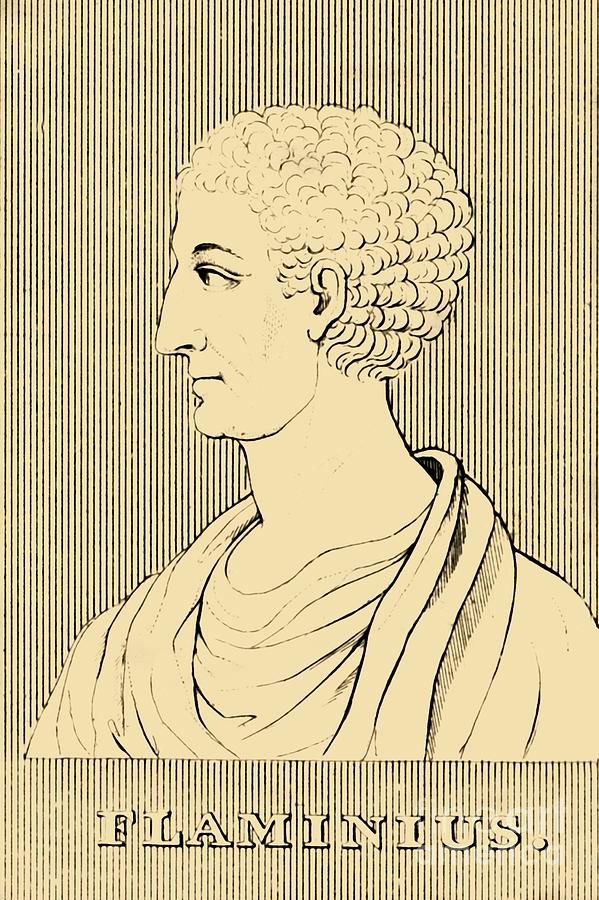 Flaminius Drawing by Print Collector