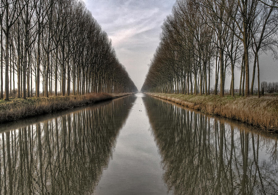 Flanders Canals Photograph by Yvette Depaepe