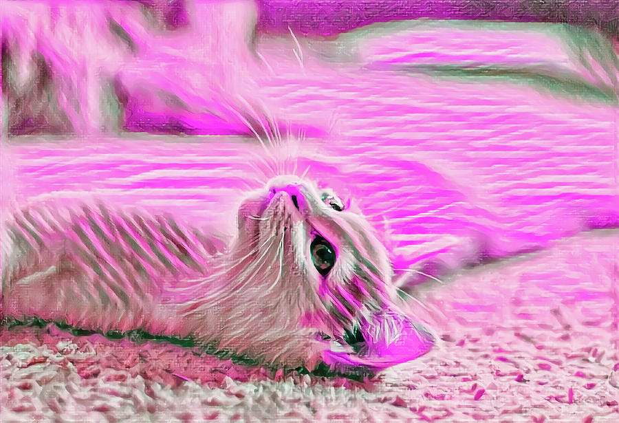 Flat Cat Pink Digital Art by Don Northup