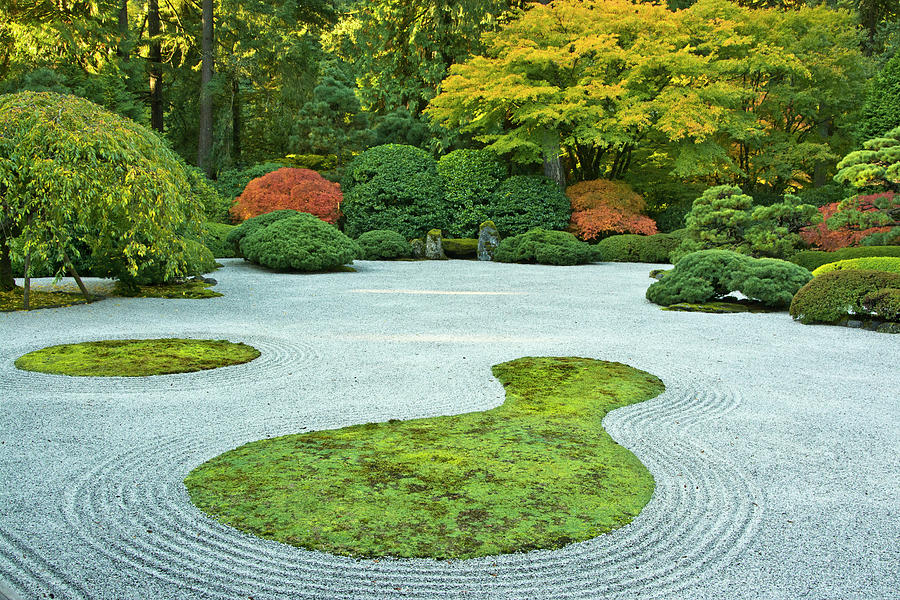 Flat Garden From The Pavilion, Portland Photograph by Michel Hersen ...