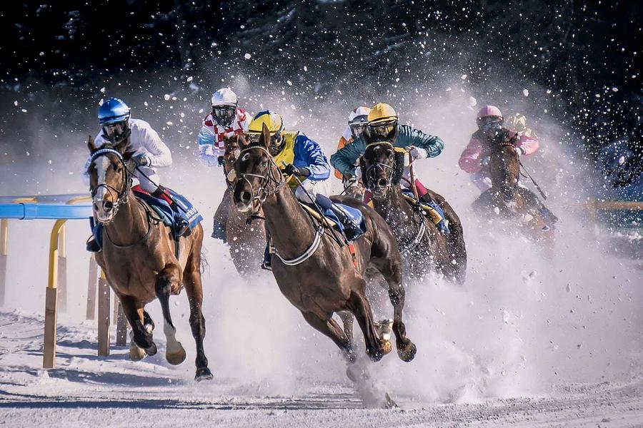 Action Photograph - Flat Race by Pietro Angelo Mattia Action Photograph - Flat Race by Pietro Angelo Mattia