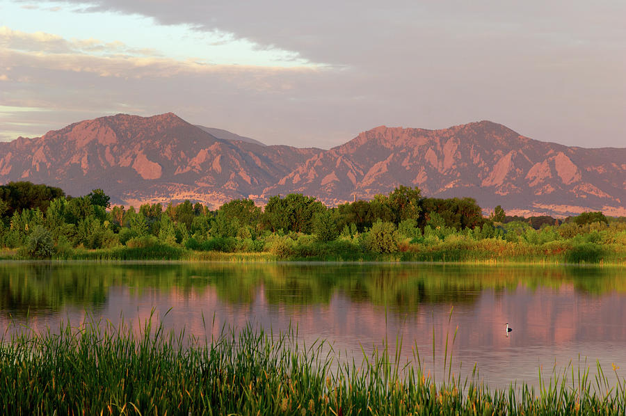 Flatirons At Dawn With Swimming Bird Photograph by Beklaus
