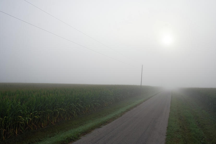 Flatland Disappearing by Dylan Punke Flatland Disappearing by Dylan Punke
