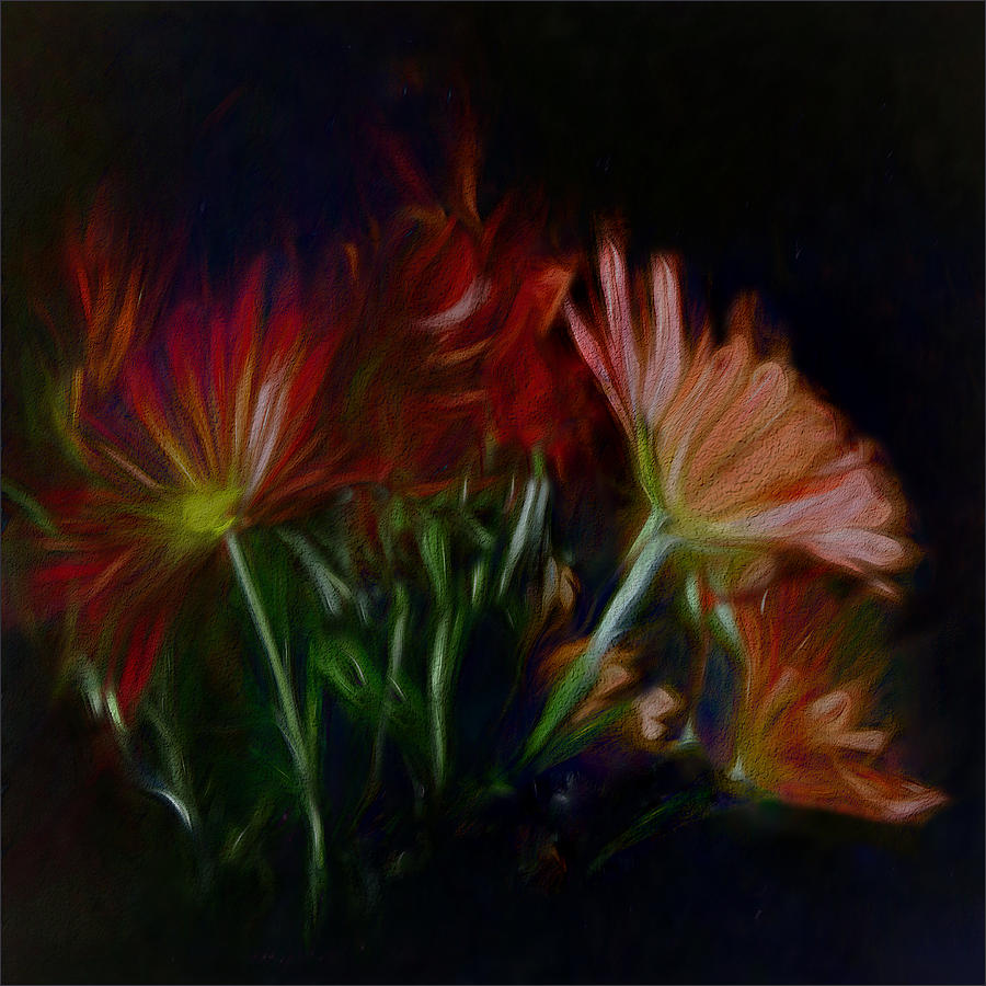 Flower Photograph - Fleuri by Gilbert Claes