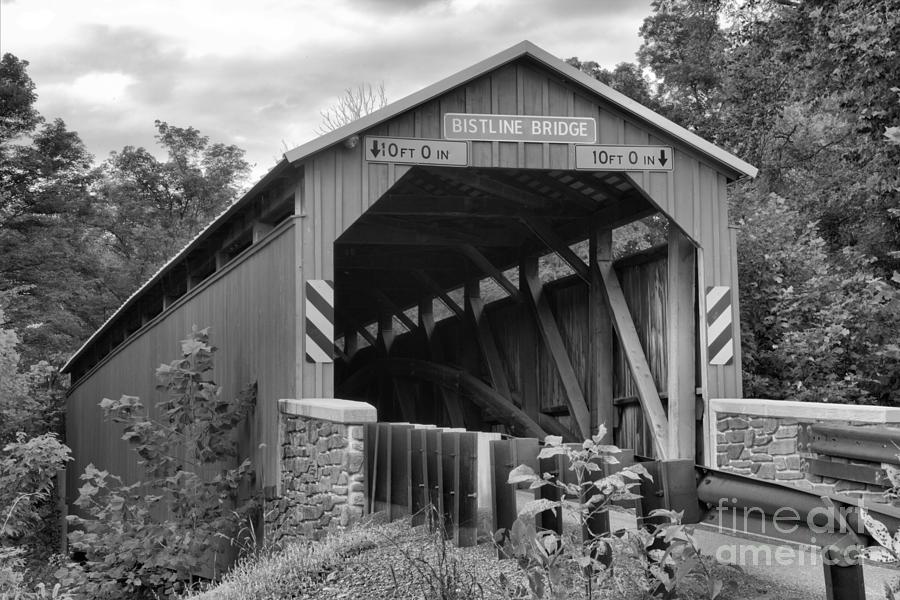 Flickingers Mill Coverd Bridge Landscape Black And White Photograph by Adam Jewell