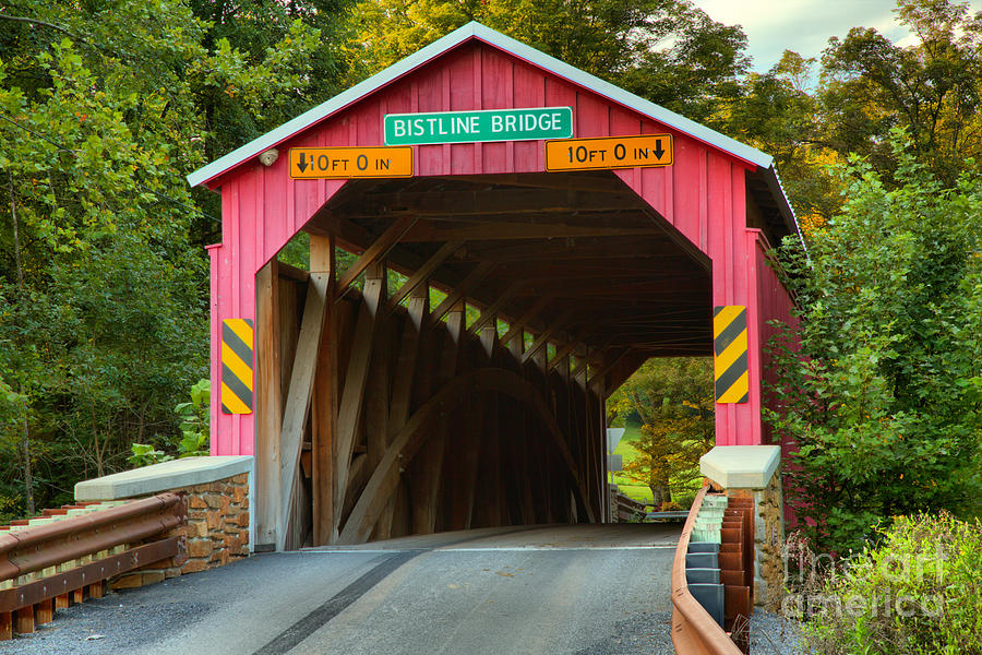 Flickingers Mill Covered Bridge Photograph by Adam Jewell