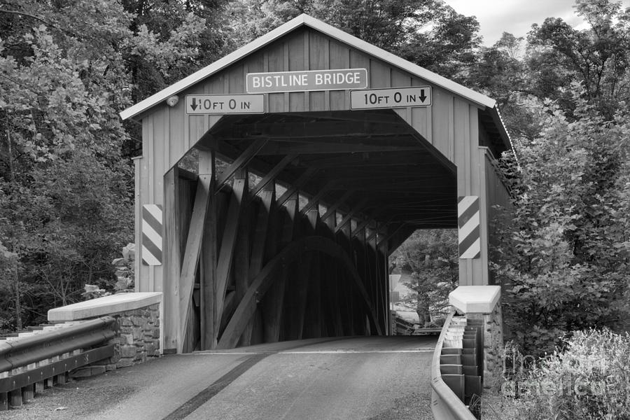 Flickingers Mill Covered Bridge Black And White Photograph by Adam Jewell