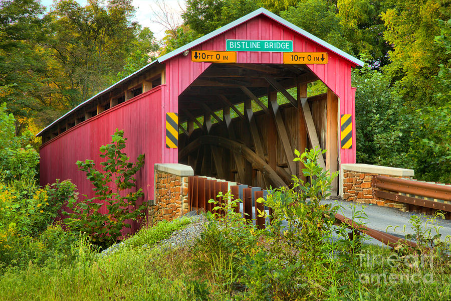 Flickingers Mill Covered Bridge Lush Landscape Photograph by Adam Jewell
