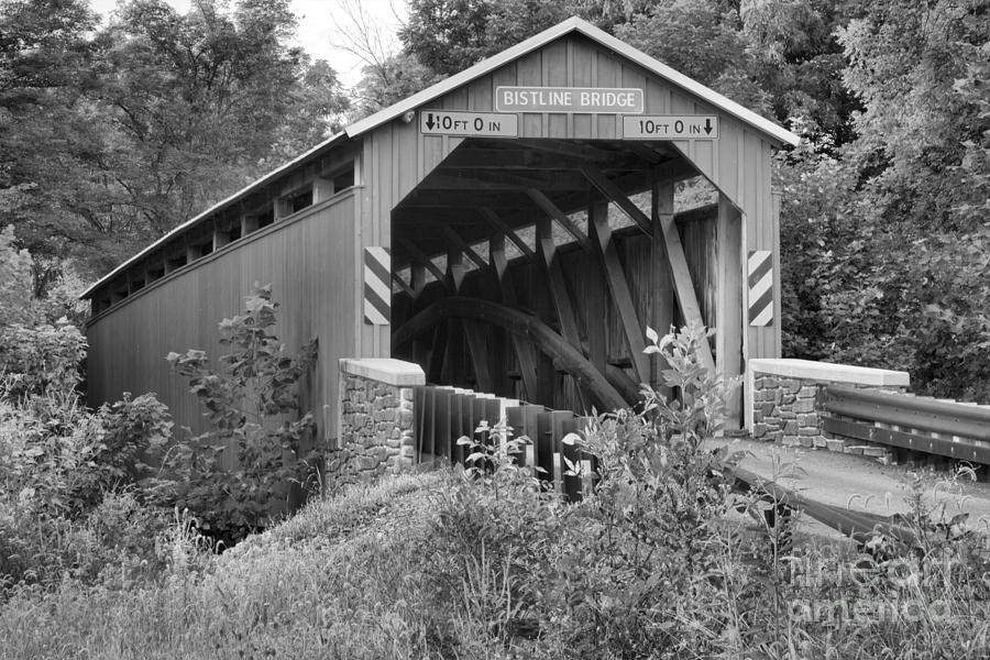 Flickingers Mill Covered Bridge Lush landscape Black And White Photograph by Adam Jewell