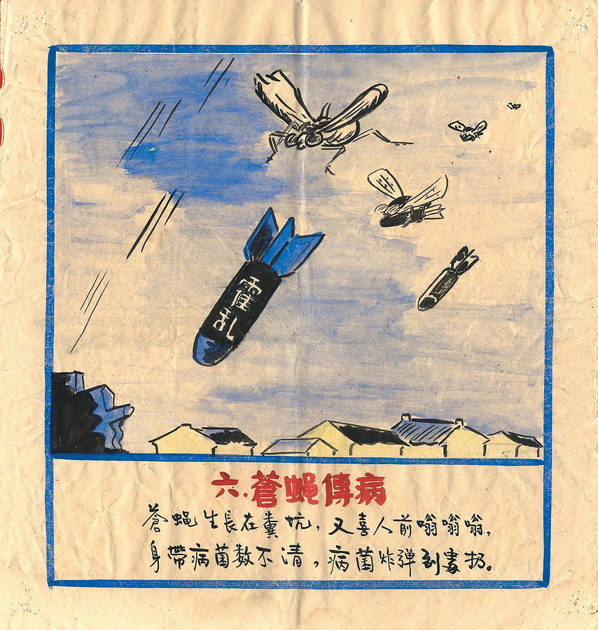 Flies are Bombs, they Spread Cholera & Disease Painting by Chinese Communist Government