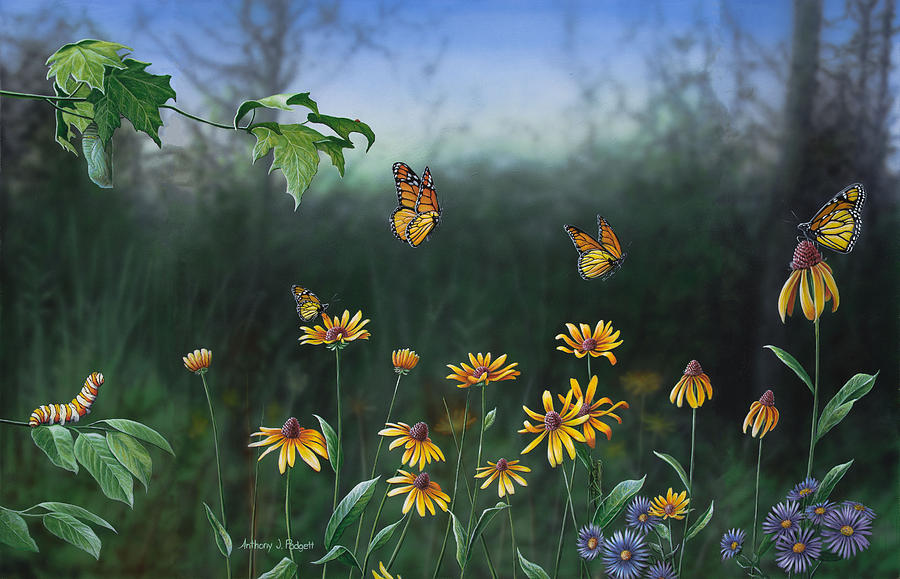 Flight of a Monarch Butterfly  Painting by Anthony J Padgett