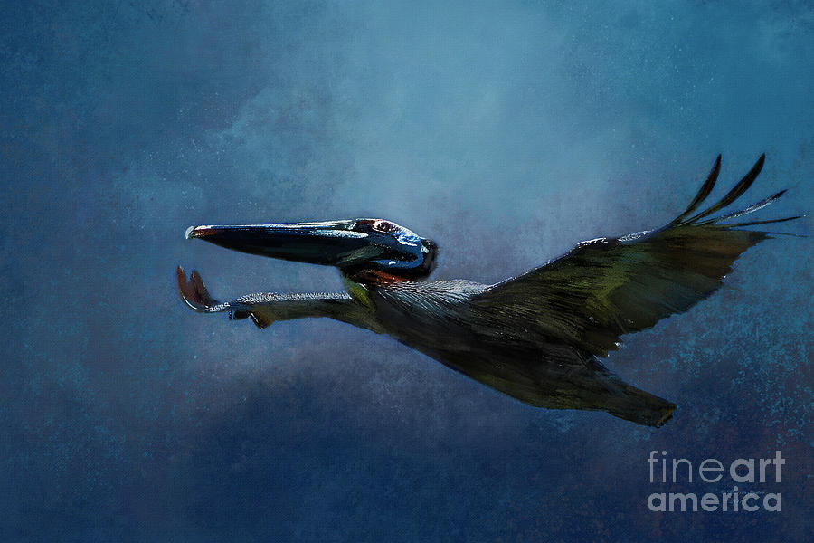 Flight Of The Pelican Mixed Media by Marvin Spates