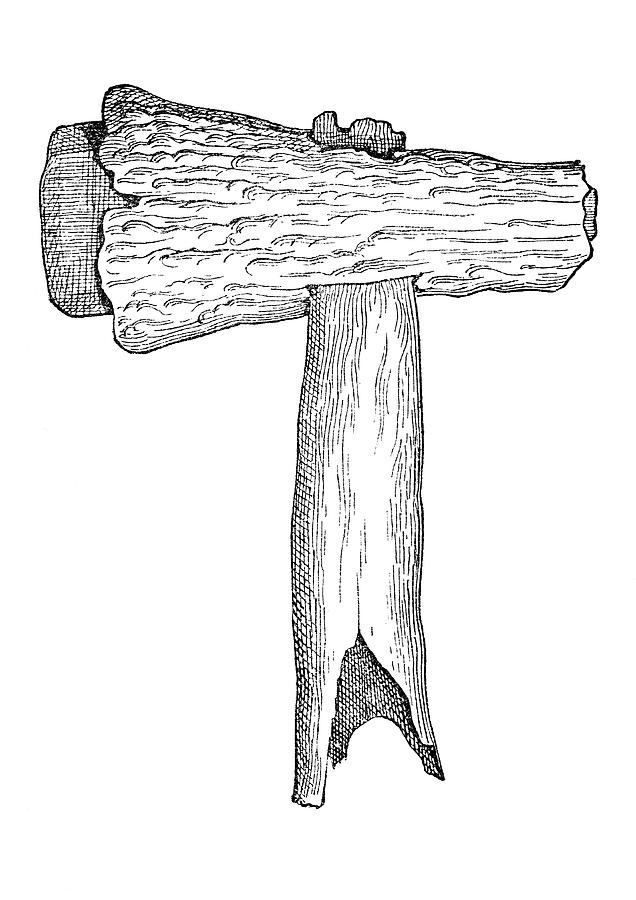 Flint Hatchet With Staghorn Sheath Photograph by Science Source