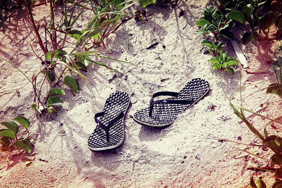 Flip-Flop Dreams 2 by Jackie Mestrom Flip-Flop Dreams 2 by Jackie Mestrom