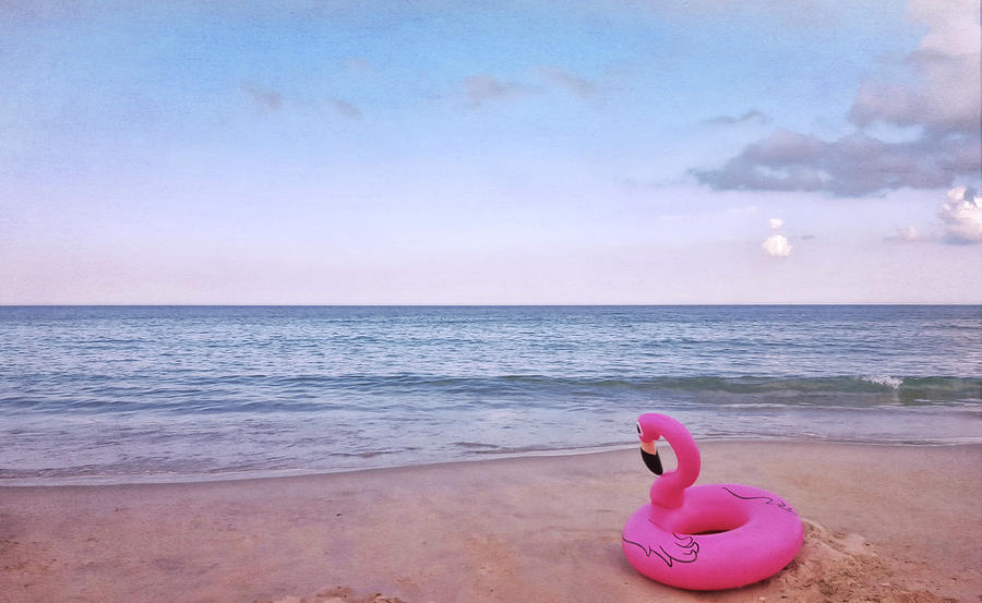 Flamingo Photograph - #floatgoals by JAMART Photography