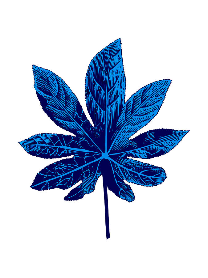 Vintage Mixed Media - Floating Blue Leaf by Naxart Studio