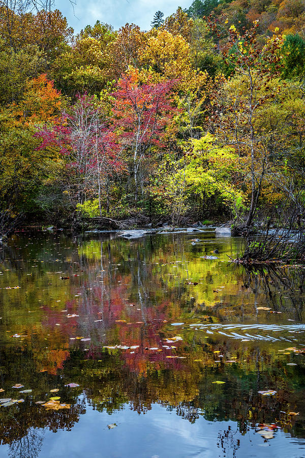 Floating in Autumn Colors Photograph by Debra and Dave Vanderlaan
