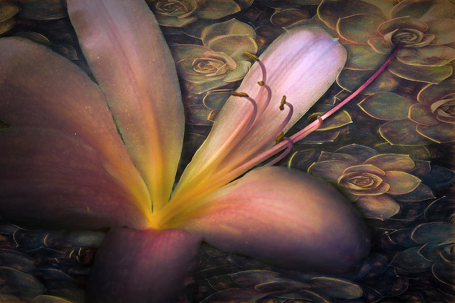 Floating in Nature Botanical Painting Photograph by Debra and Dave Vanderlaan