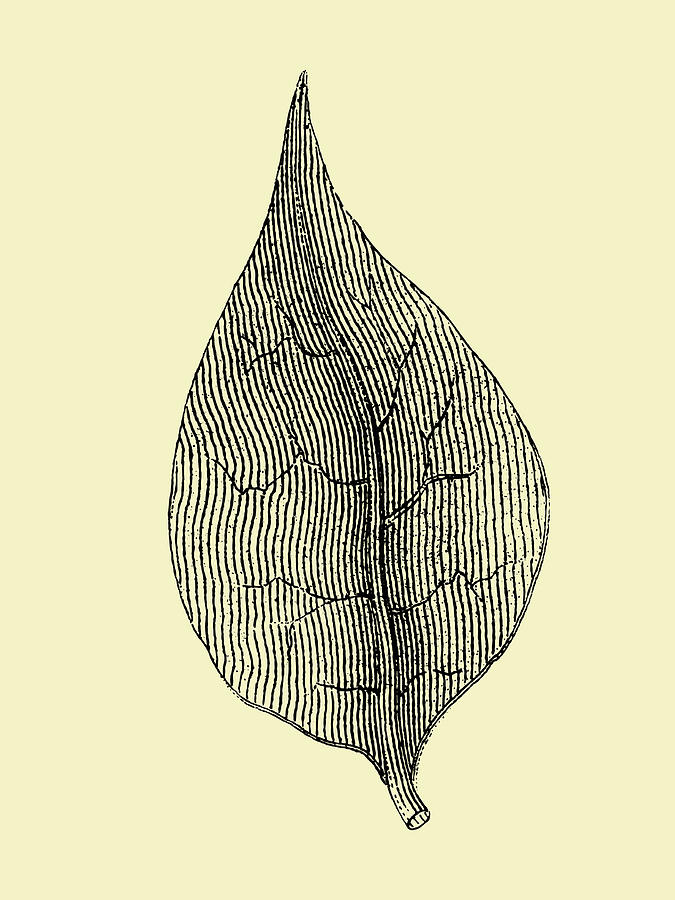 Leaf Mixed Media - Floating Leaf 3 by Naxart Studio Leaf Mixed Media - Floating Leaf 3 by Naxart Studio