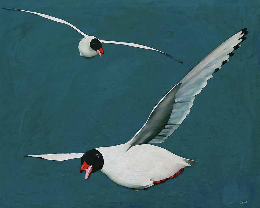 Floating seagulls Digital Art by Jan Keteleer