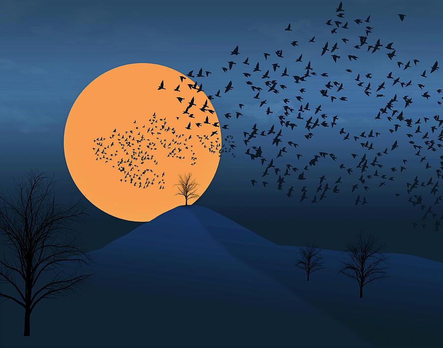 Flock Of Birds Silhouetted In Moonlight Photograph by Ikon Images