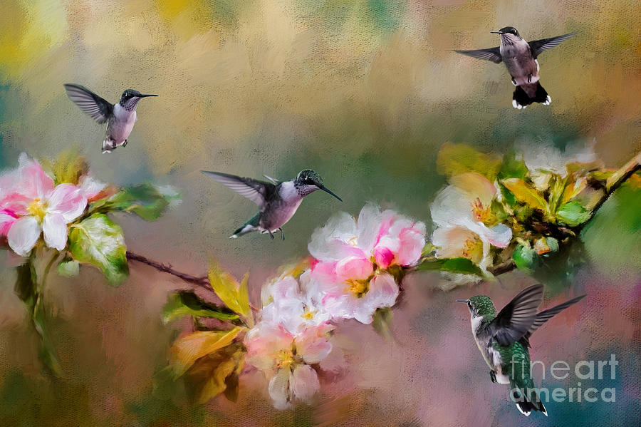 Flock of Hummingbirds Mixed Media by Ed Taylor