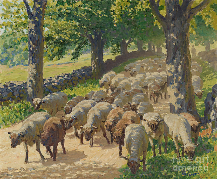 Flock Of Sheep Painting by Edward Charles Volkert