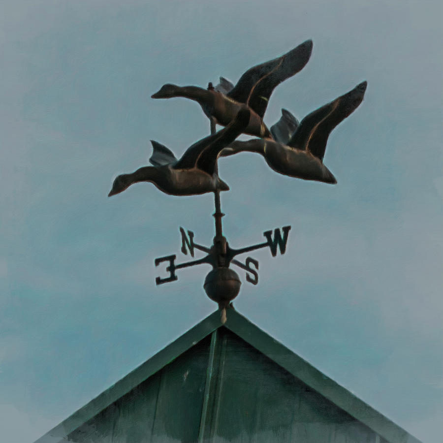 Flocking Geese Weather Vane Photograph by Leslie Montgomery