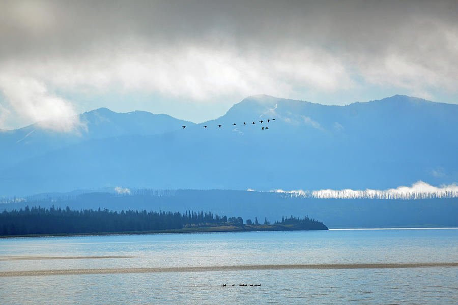 Flocks Above and Below on Yellowstone Lake Photograph by Bruce Gourley