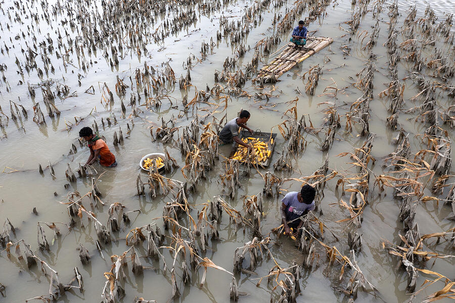 Documentary Photograph - Flood Affected by Azim Khan Ronnie