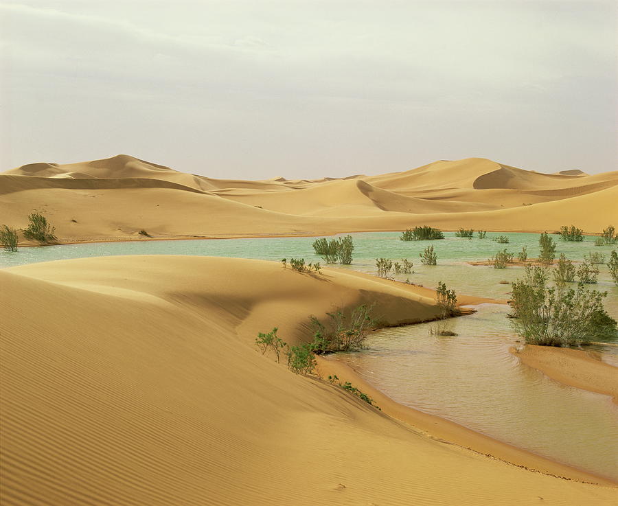 Flood Waters In Algerian Sahara, At by Geoff Renner / Robertharding