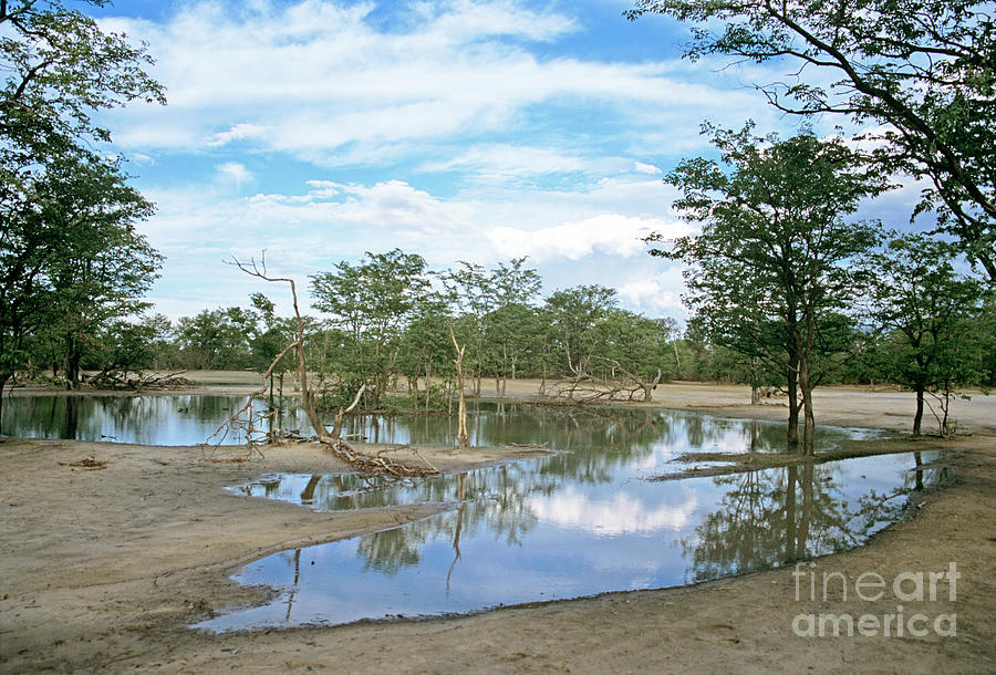 Pan Photograph - Flooded Pan by Peter Chadwick/science Photo Library