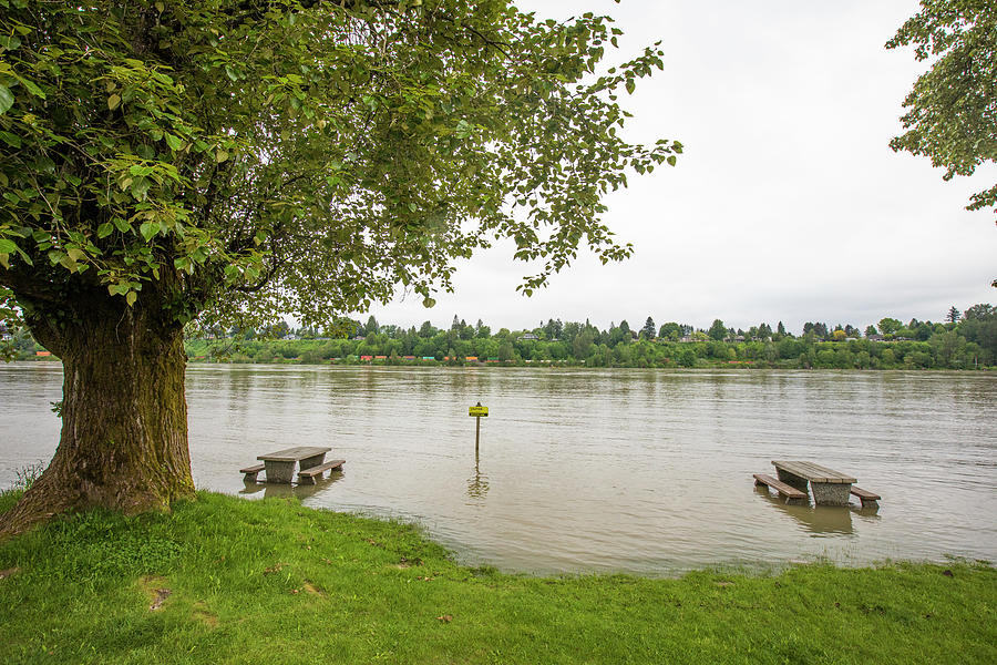 Flooded Picnic Site Along The Fraser River British Columbia Canada Cavan Images 