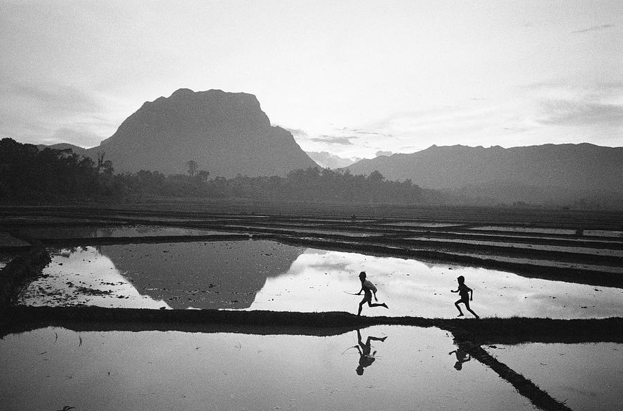 Black And White Photograph - Flooded Rice Paddy by John Dominis