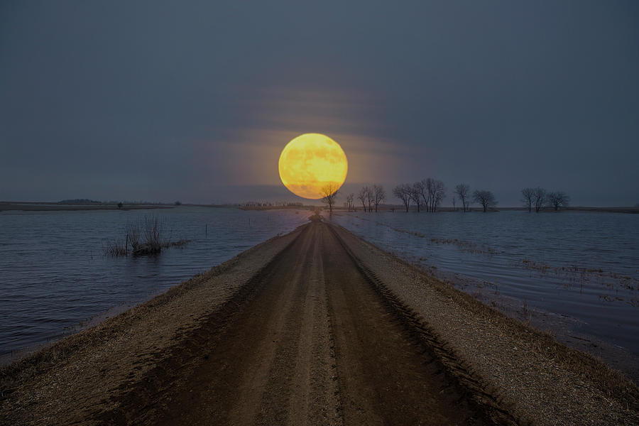 Flooded Road To Nowhere Photograph